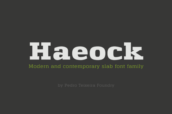 Boost Your Brand with Haeock Family: A Versatile Slab Serif Font for Small Businesses