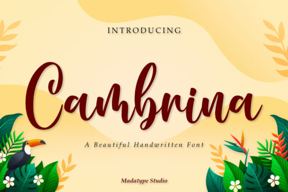 Cambrina: A Stylish Script Font for Modern Web Design