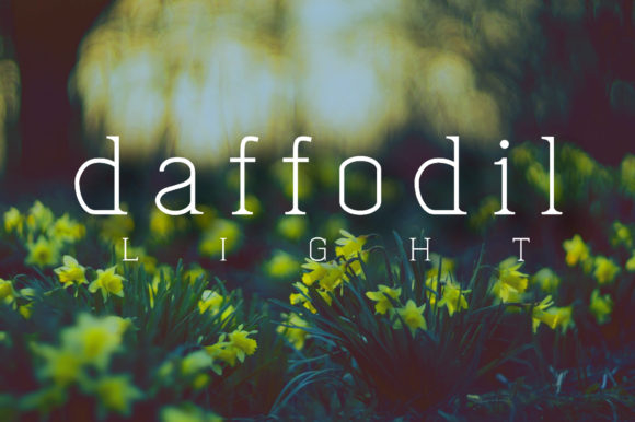 Daffofil: A Serif Font with a Timeless Vibe