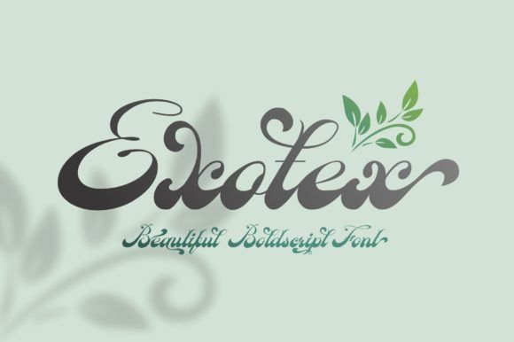 Exotex: A Font That Elevates Your Brand