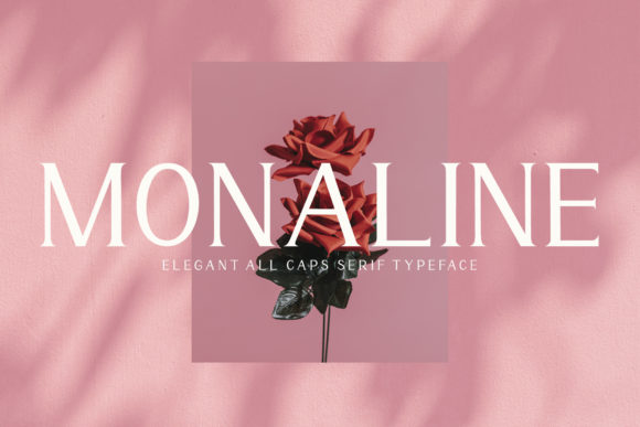 Monaline: A Serif Font for Modern Web Design