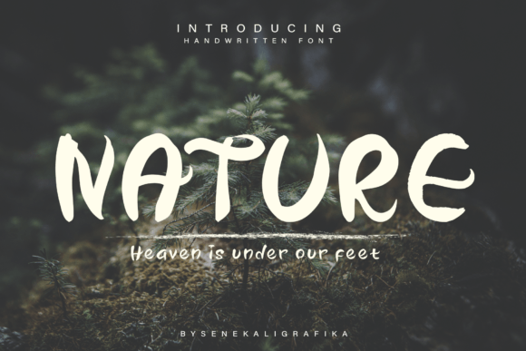 Our Nature: A Font That Adds Personality to Your Brand