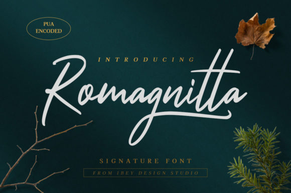 Romagnitta: The Font That Elevates Your Brand